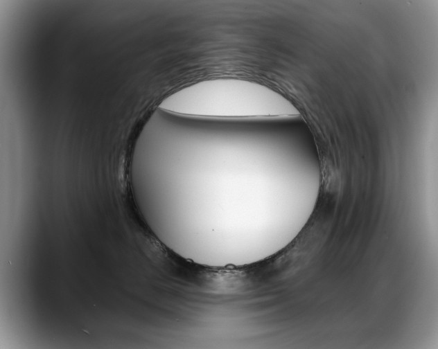 X0000088870670200706080722