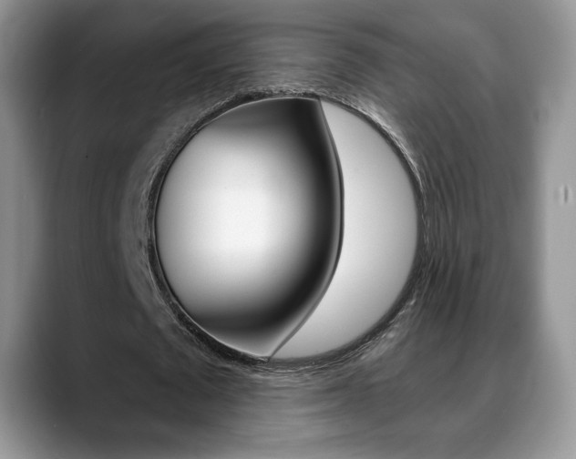 X0000088870673200706080721