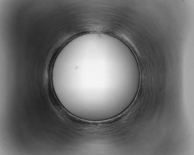 X0000088870674200706080721