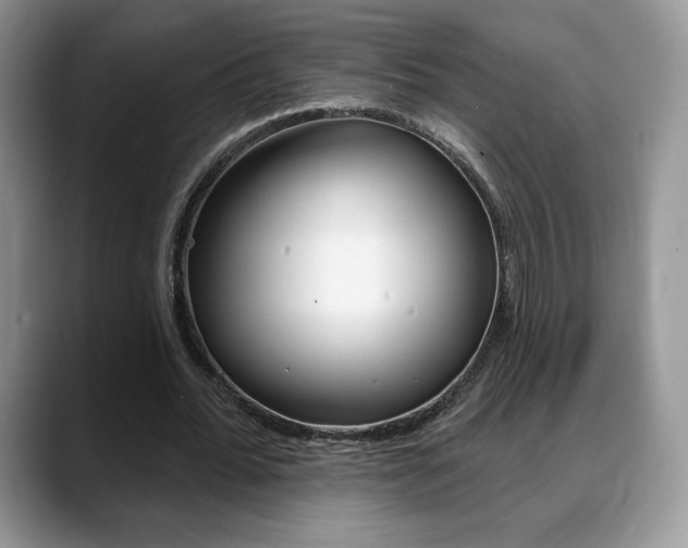 X0000088870676200706080721