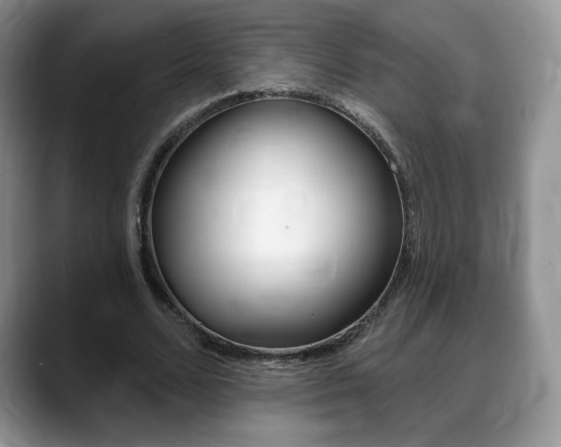 X0000088870680200706080721