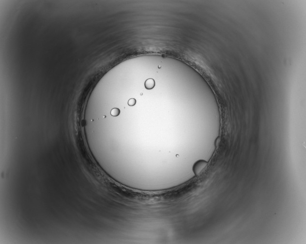 X0000088870683200706080721