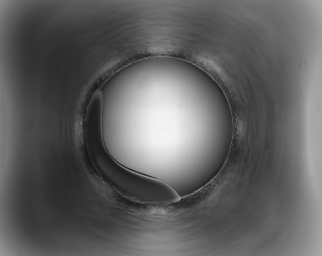X0000088870684200706080721