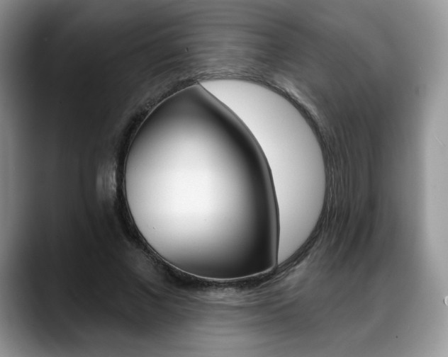 X0000088870685200706080721