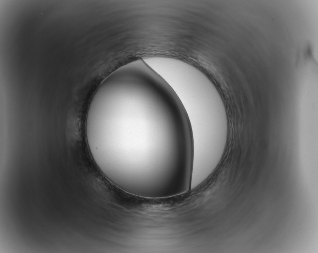X0000088870689200706080721