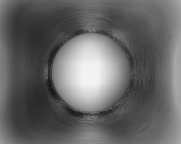 X0000088870694200706080721