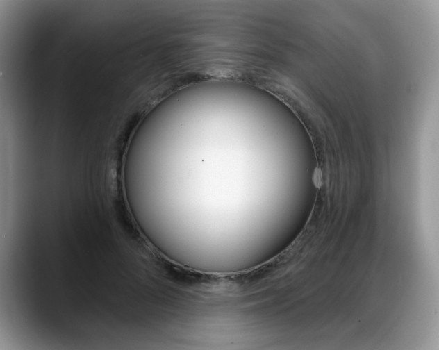 X0000088870696200706080721
