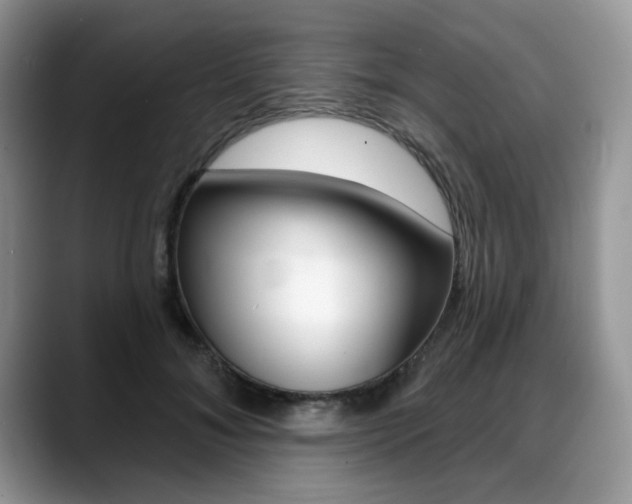 X0000088870700200706080721