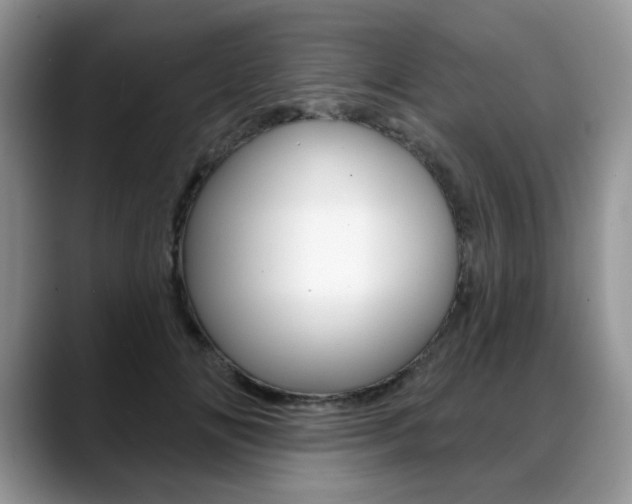 X0000088870702200706080721