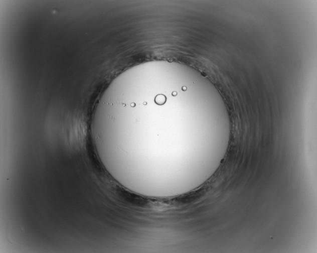 X0000088870703200706080721