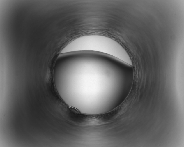 X0000088870704200706080721