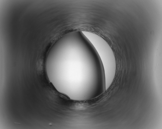 X0000088870708200706080721