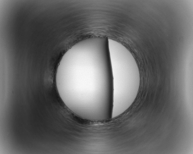 X0000088870710200706080721