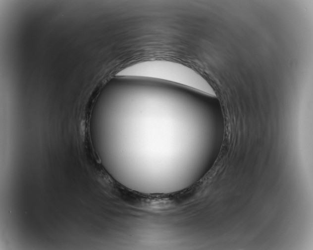 X0000088870716200706080721