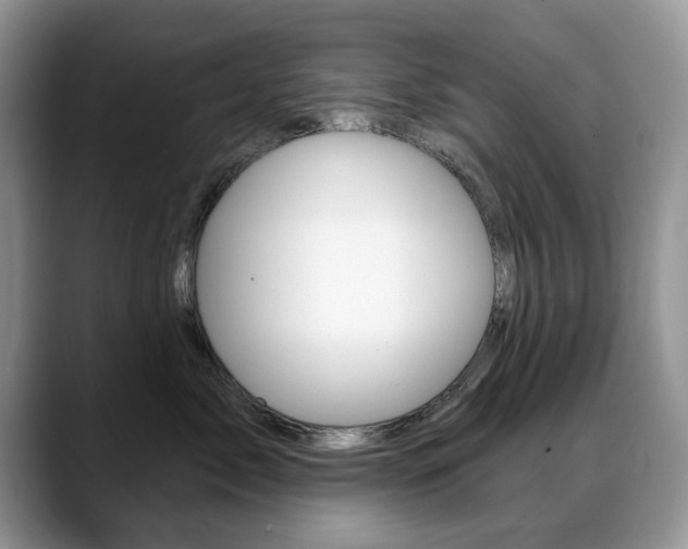 X0000088870717200706080721