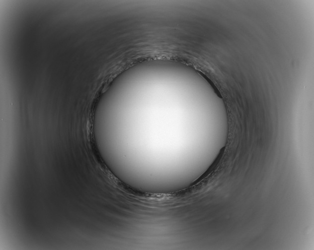 X0000088870720200706080721