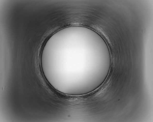 X0000088870721200706080720