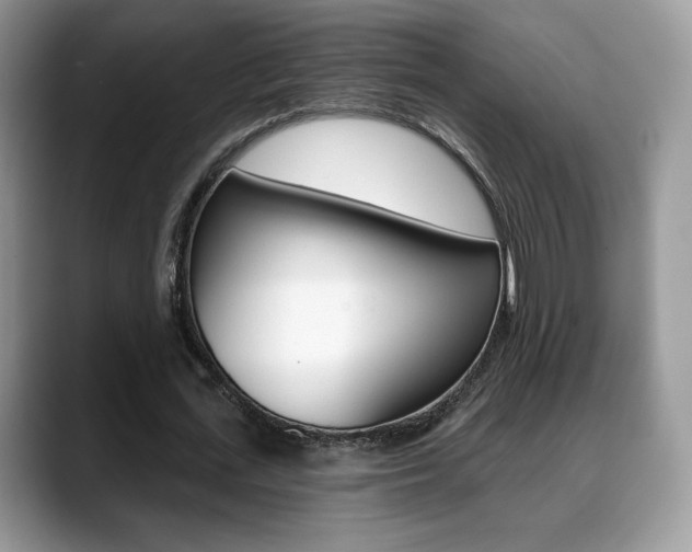 X0000088870723200706080720
