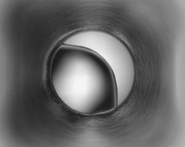 X0000088870724200706080720