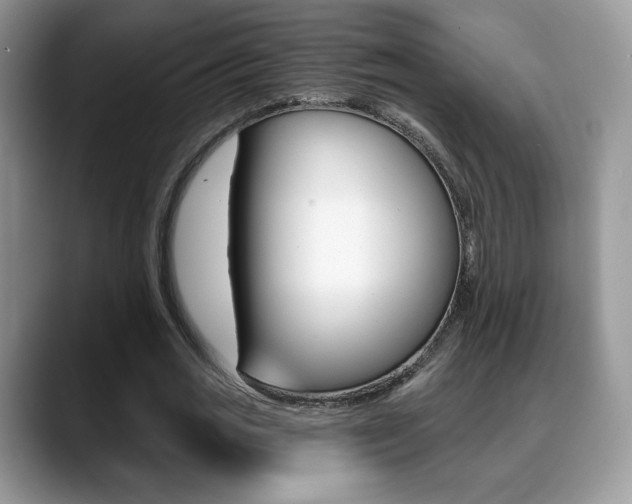 X0000088870725200706080720