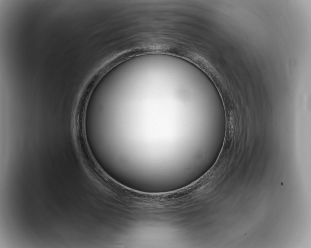 X0000088870726200706080720