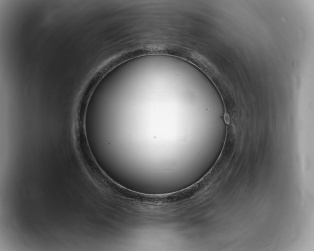 X0000088870728200706080720