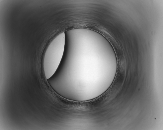 X0000088870729200706080720