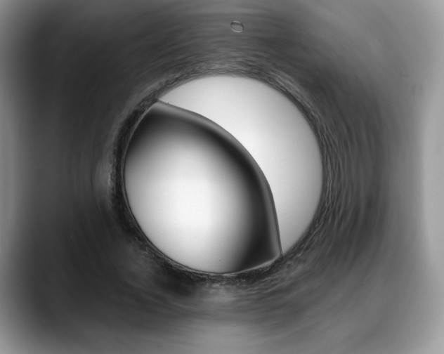 X0000088870732200706080720