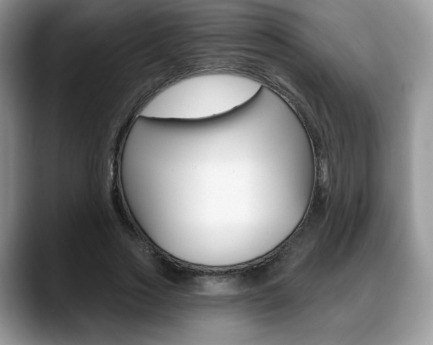 X0000088870733200706080720