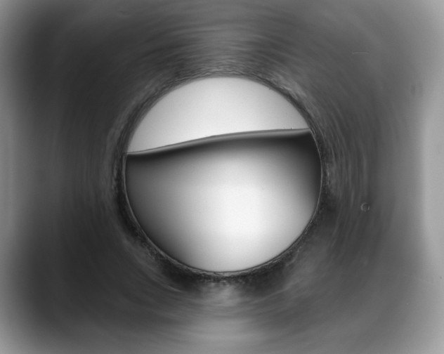 X0000088870735200706080720