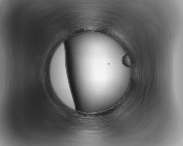 X0000088870738200706080720