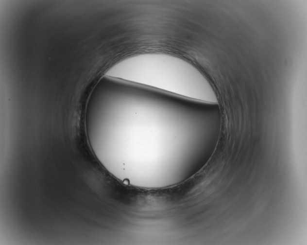 X0000088870739200706080720
