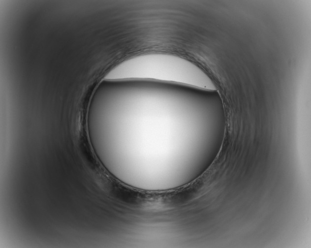 X0000088870740200706080720