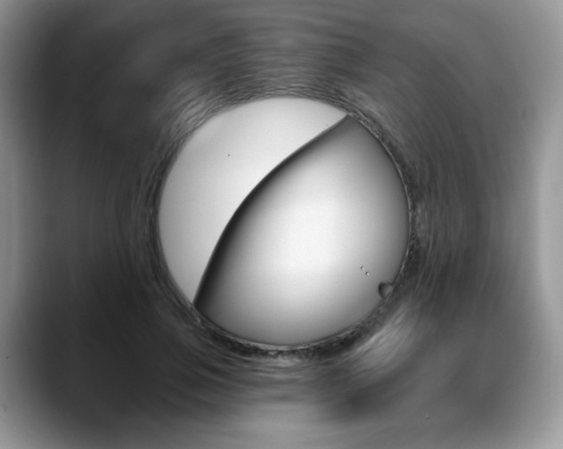 X0000088870741200706080720