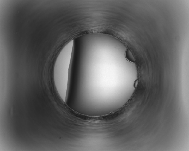 X0000088870742200706080720