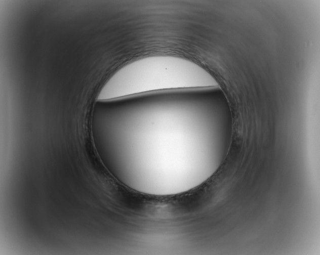 X0000088870743200706080720