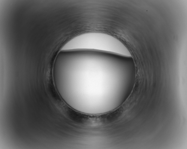 X0000088870744200706080720