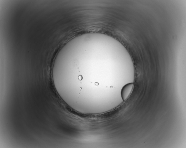 X0000088870745200706080720