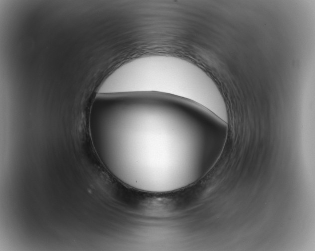X0000088870748200706080720