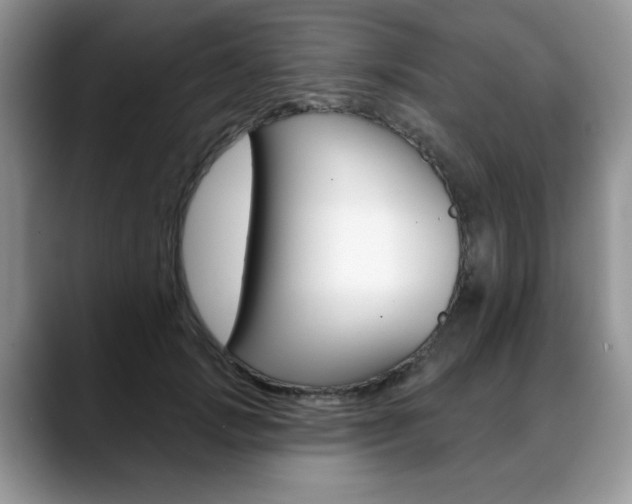 X0000088870749200706080720