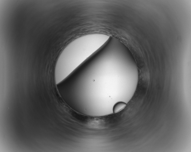 X0000088870754200706080721