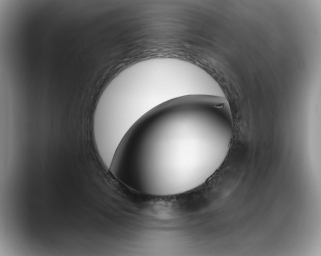X0000088870756200706080721