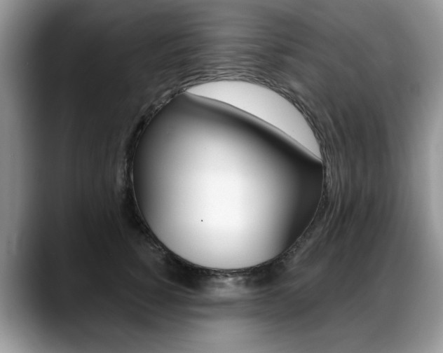 X0000088870760200706080721