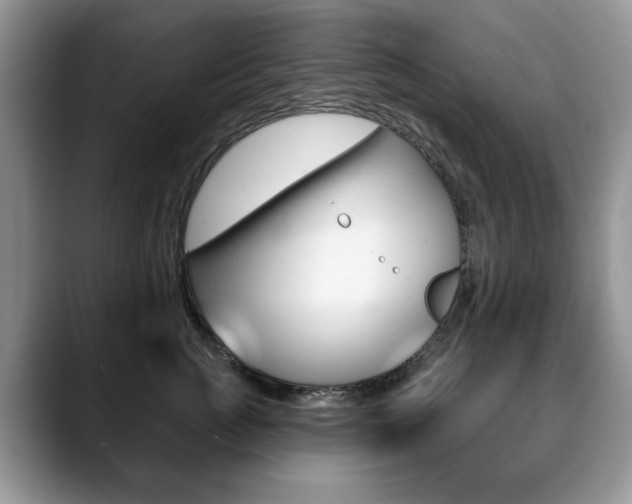 X0000088870761200706080721