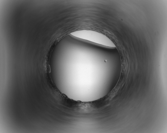 X0000088870762200706080721