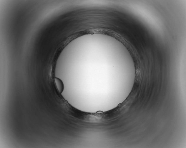 X0000088870765200706080721