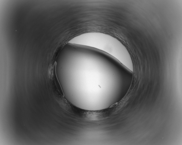X0000088870766200706080721
