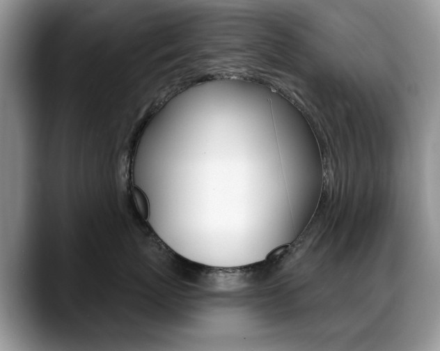 X0000088870767200706080721