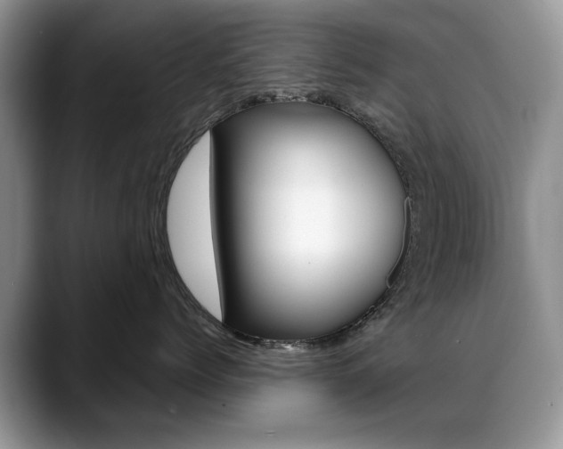 X0000088870768200706080721
