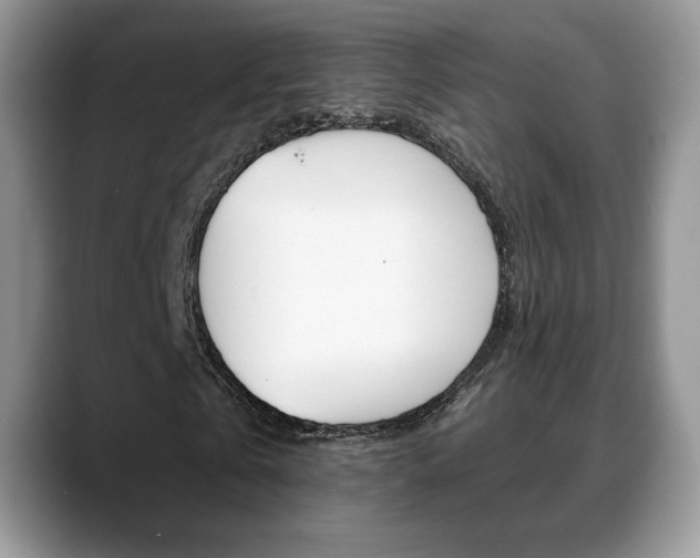 X0000088870769200706080720